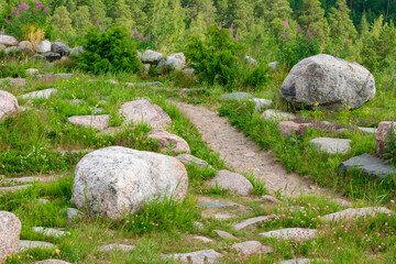 Curved pathway in between rocks, grasses and other plants on a small mountain in Finland.