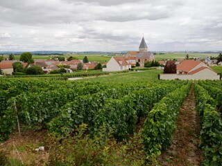 Fototapeta na wymiar Village de Sacy dans le vignoble champenois dans la Marne France