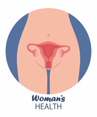 Woman body anatomy, location of the uterus. Woman reproductive health illustration. Gynecology. Anatomy. Vector concept of women's health illustration.