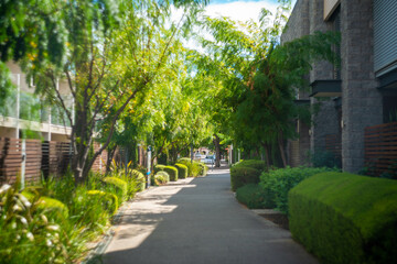 オーストラリア・アデレードの観光名所を旅行している風景 Scenes from a trip to Adelaide, Australia.