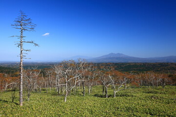 Bihoro Pass in early autumn