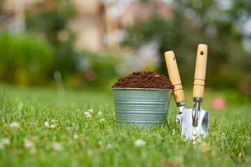 gardening tools and plants in the garden
