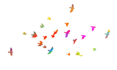 A flock of colorful birds. Vector illustration