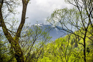 the peak of Parashka in the distance