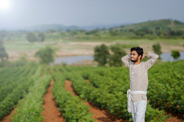 Young Indian farmer in a cotton field