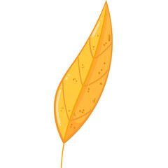 Autumn Leaf
