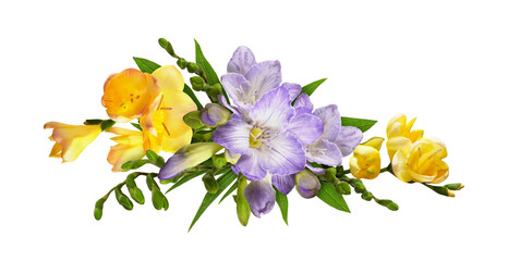 Purple freesias yellow rudbeckia and chrysanthemum flowers in a line floral arrangement isolated - obrazy, fototapety, plakaty