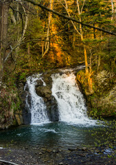 Hurkalo waterfall in carpathian forest