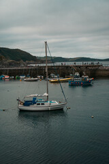 Fototapeta premium boats in the harbor
