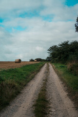 road in the countryside