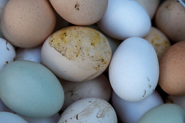 Lots of dirty chicken eggs. Healthy food and vitamins. Close-up.