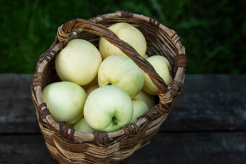 Ripe white apples pouring in a basket. Vitamins and healthy food. New harvest. Close-up.