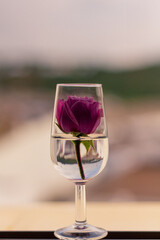 Rosa en catavino
