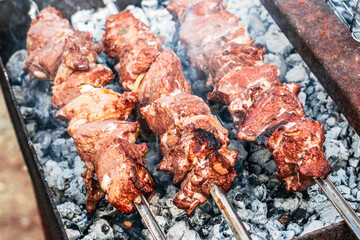 shish kebab on skewers is fried on the grill on coals