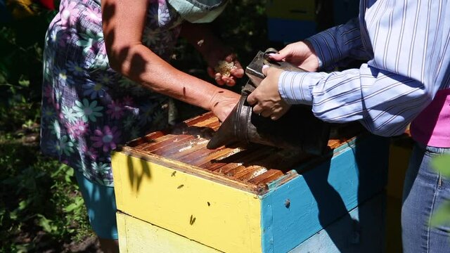 the beekeeper removes excess wax from the frame in an open hive
