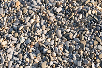 Sea pebbles. Small stones gravel texture background. Color stone in background.