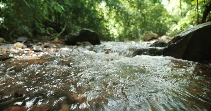 Wild mountain river flowing through stone boulders, Water clear stream river flowing in the deep forest, Slow motion