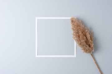 Cosmetic background with white frame and pampas on grey. Flat lay, copy space