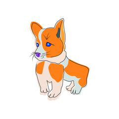 corgi puppy