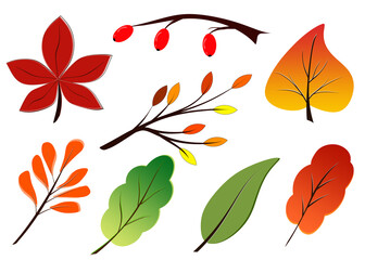 Autumn leaves. Yellow autumn garden leaf, red autumn leaf and fallen dry leaves. Botanical forest plants or September foliage of the October tree. Set of flat isolated vector symbols