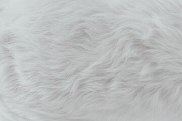 Obraz premium White Fur Background Close-up Design Abstract Backdrop