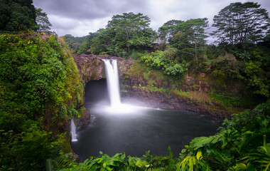 Waterfall in The Forest