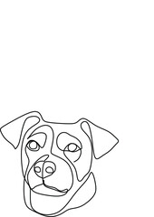 The first days of a newborn's life