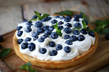 Delicious ice cream cake with blueberries. Summer dessert.