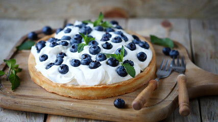 Delicious ice cream cake with blueberries. Summer dessert.