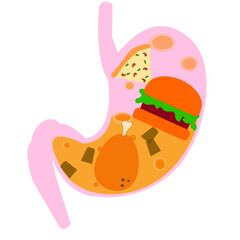 The stomach made from junk food , Obesity man 