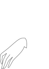Female hands line art
