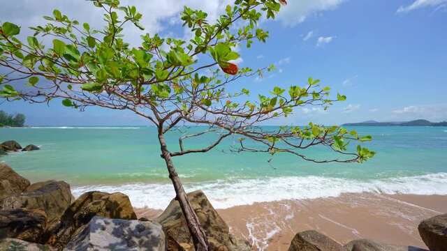 Landscape seashore under clear blue sky with clouds in the morning and leaves trees frame background Beautiful Sea sand beach in Phuket Thailand