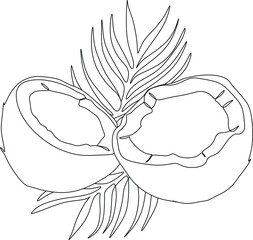 Coconuts with leavesline art