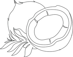 Coconuts with leavesline art