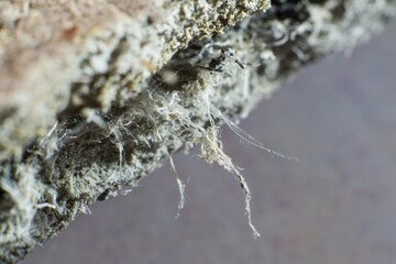  Detailed photography of roof covering material with asbestos fibres. Health harmful and hazards...