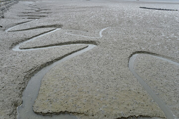 Obraz premium Mud flat in Maseo-myeon, Seocheon-gun, Chungcheongnam-do, South Korea.
