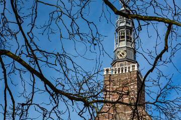 オランダ　ライデンのファン・デル・ヴェルフ公園から見える聖ローデウェイク教会