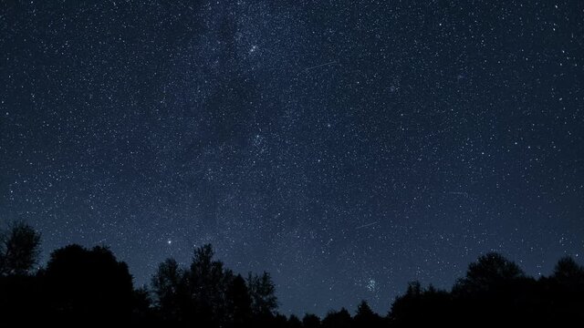 4k photo video time lapse of starry night sky with many falling meteors of Perseid tail, planes and satellites flying, black silhouettes of old trees growing in forest. Abstract natural background