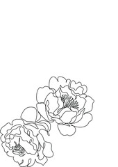 Flower face woman line drawing. Modern continuous line art. Women line art. Beauty salon logo. Coloring book. Botanical print. Nature symbol of cosmetics. Fashion logo.