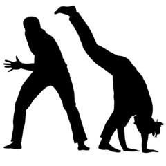 Silhouette of a Martial Arts on a white background