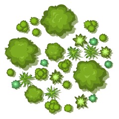 Small forest with height. Park with trees. View from above. Plant landscape. Island. Green wildlife. Top view. Background illustration in cartoon style. Isolated Vector