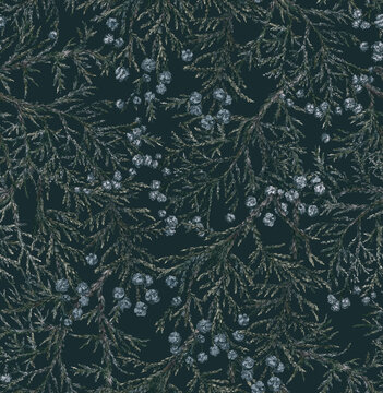 Seamless pattern with juniper branches and berries. Background with fir branches © Арина Трапезникова