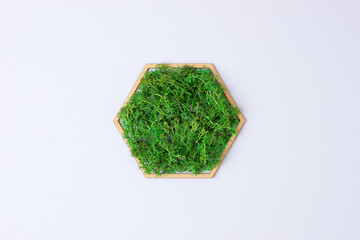Cosmetic background with a wooden hexagon and moss on white. Flat lay, copy space