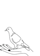 Continuous one line drawing. Couple of birds. Dove or pigeon hand drawn minimalism, romantic theme design.
