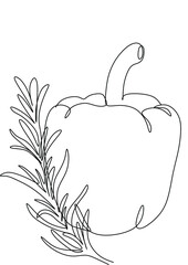 Pepper with rosemary line art