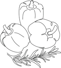 Pepper with rosemary line art