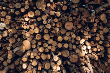 cut and stacked firewood logs