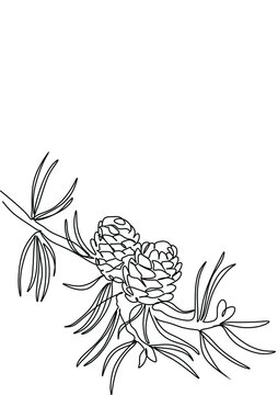 pine cones branch line art clip art preview