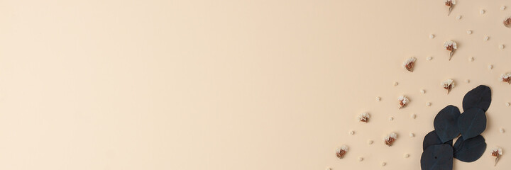 Cosmetic background with eucalyptus natural background on pastel beige. Flat lay, copy space