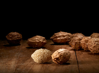 Buchinha do norte, planta medicinal, isolado em fundo de madeira